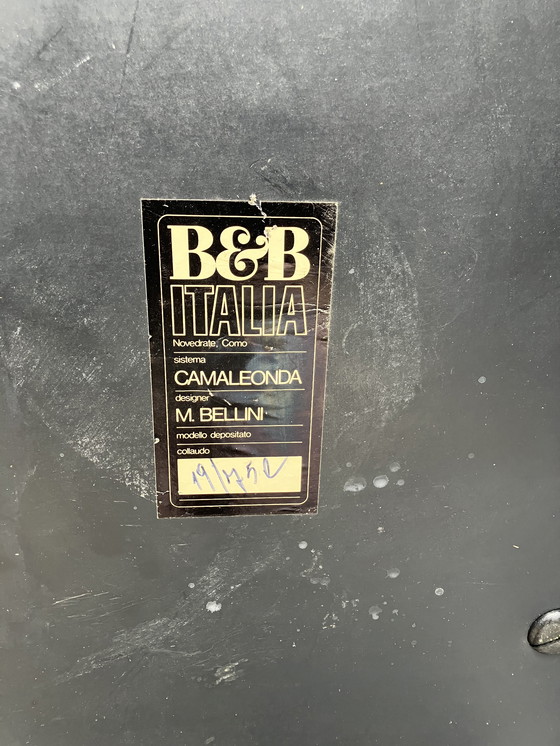 Image 1 of B&B Italia Camaleonda Ensemble de 1975, Mario Bellini