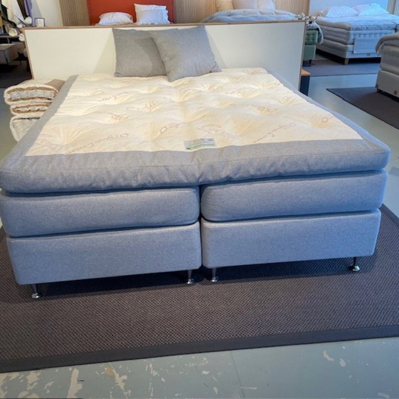 Image 1 of Ecolife - Agave Continental