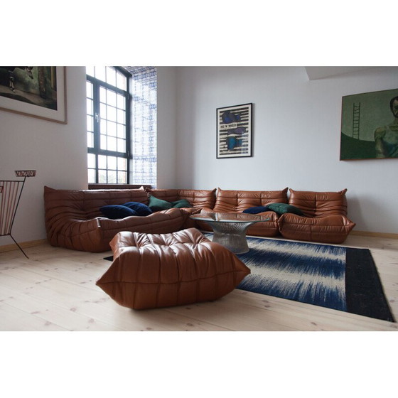 Image 1 of Togo vintage lounge set by Michel Ducaroy for Ligne Roset, France 1970