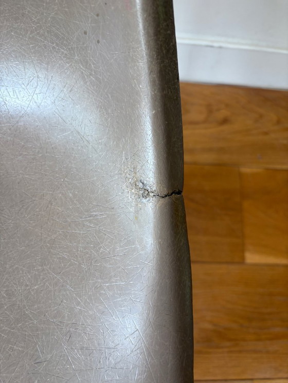 Image 1 of 3 Vintage Eames DSW Fiberglass Stoelen (Herman Miller) – Elephant Grey & Greige – Walnut Base