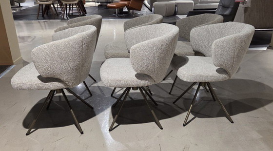 Image 1 of enset Nivara S/6