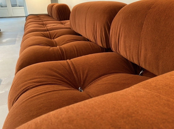 B&B Italia Camaleonda Licata 333 Terracotta Velluto e Pelle – Divani modulari, Textile (photo 12 of 15)