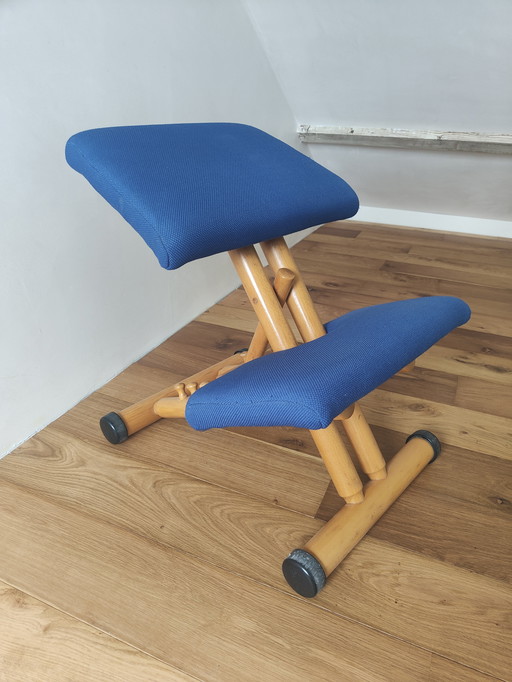 Stokke Varier Multi Balance Chair