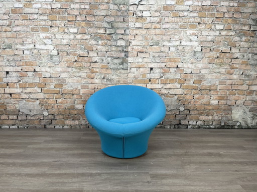 Artifort Mushroom Big – Tela azul | Pierre Paulin