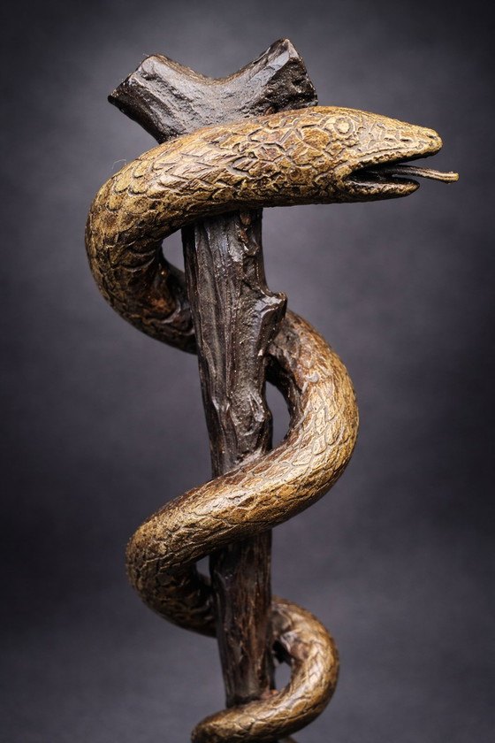 Image 1 of Bronzen Asclepius