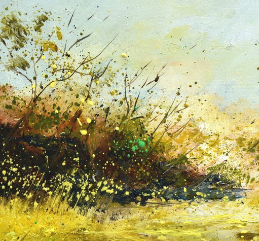 Marshes