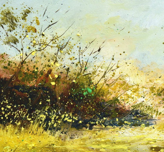 Image 1 of Marshes