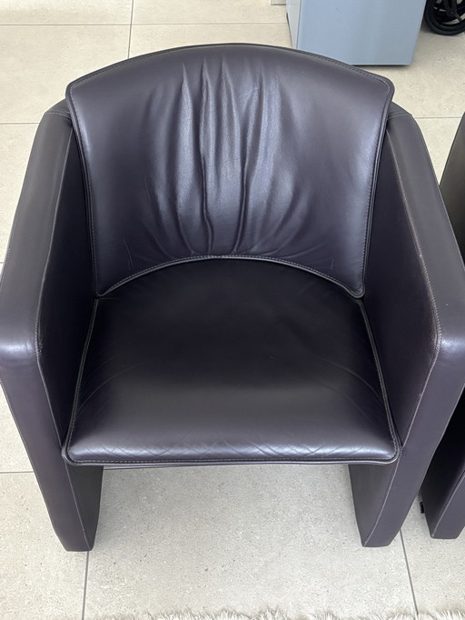 Leolux Fiabo armchair eggplant color