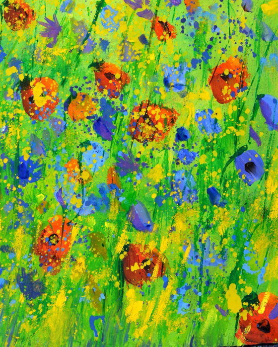 Image 1 of papaveri rossi