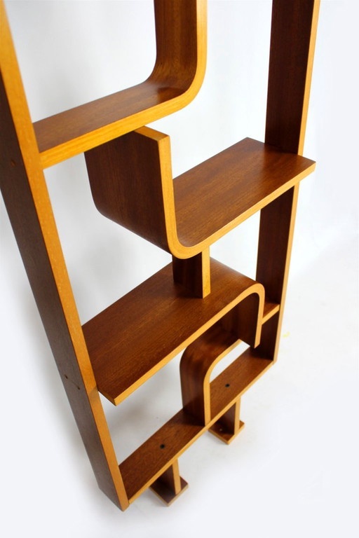 Separador de ambientes de mediados de siglo, Ludvik Volak para Drevopodnik Holesov, 1960