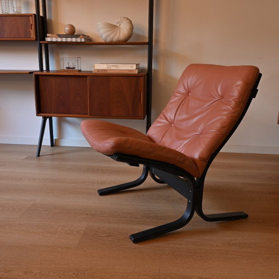 Image 1 of Sedia Fiesta di Westnova