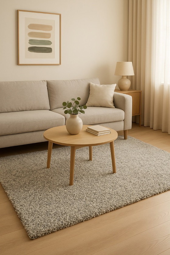 Image 1 of Brink & Campman Young 061804 – Lujo de pelo largo (160 x 230 cm)