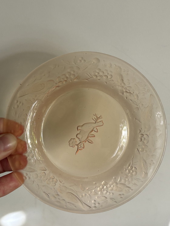 Jules Henri Vernon Plates 5x – Crockery, Glass (photo 8 of 9)