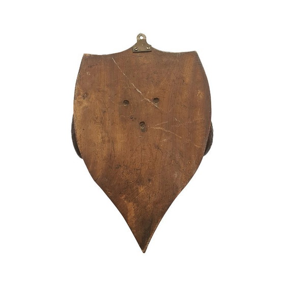 Image 1 of Victoriaans opgezette ramskop op schild, eind 19e eeuw