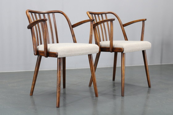 Image 1 of 1960 Antonin Suman Ensemble de six chaises de salle à manger en hêtre, restaurées