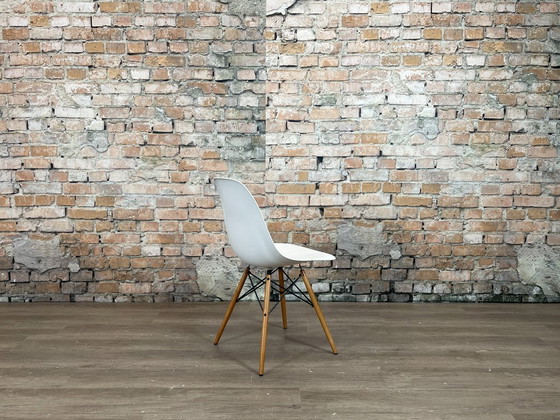 Vitra DSW Wit/Hout - MEER OP VOORRAAD – Eetkamerstoelen, Metal, Plastic (photo 7 of 15)