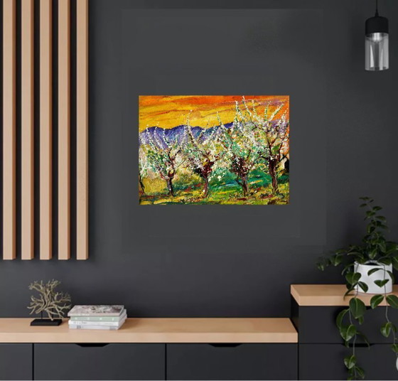 Image 1 of Cherry trees in bloom