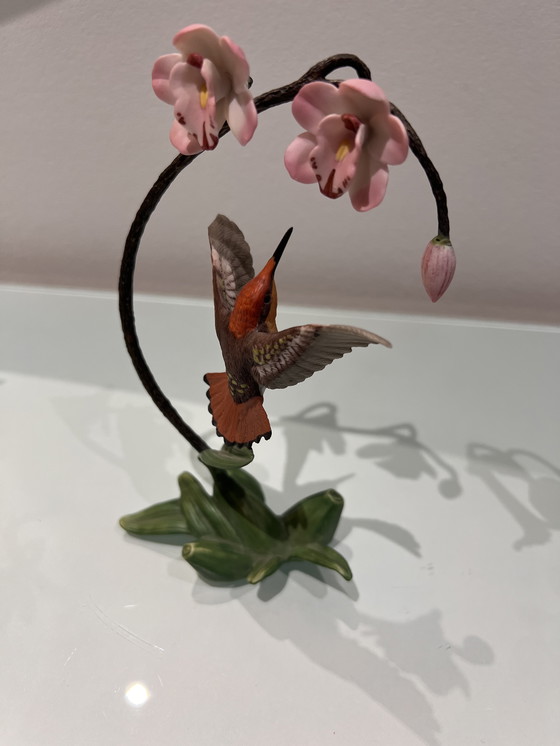 Image 1 of Alan Singer Franklin Kolibri / Hummingbird Porzellan