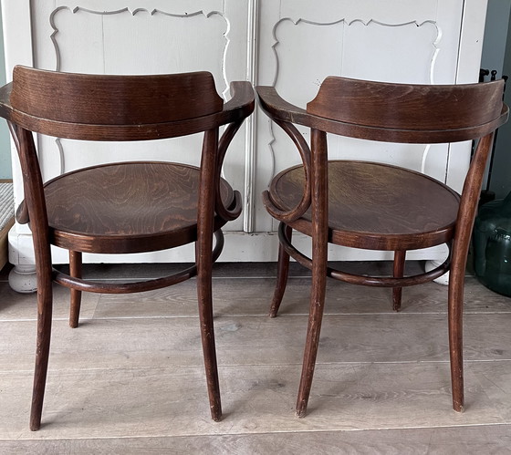 Image 1 of Poltrona Fischel Thonet Cecoslovacchia