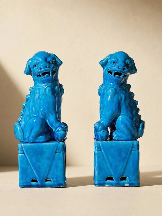 Pair of blue Fô dogs - glazed ceramic - Chinese blue - mid 20th century, Decorative Objects, Porcelain (photo 9 of 9)