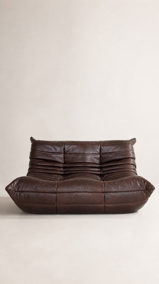 Image 1 of Zweisitzer-Sofas von Michel Ducaroy / Ligne Roset, braunes Leder