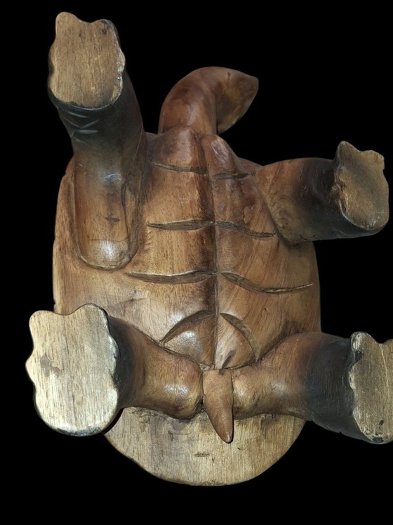 Tartarughe intagliate – Sculture, Legno (photo 10 of 13)