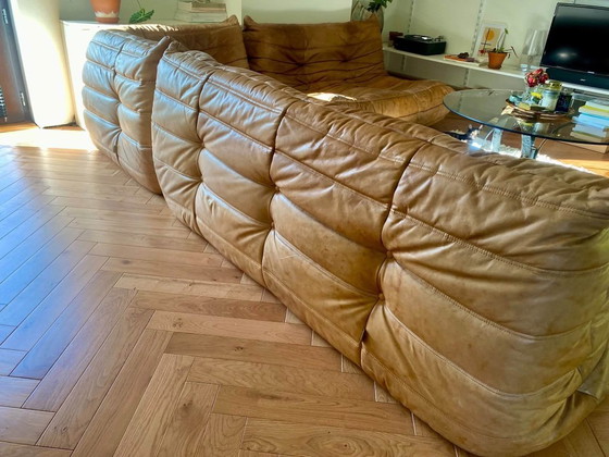 Autentico Divano Togo - Pelle Cognac – Ligne Roset, Divani modulari (photo 5 of 11)
