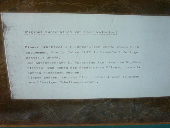 Image 1 of Incisione originale su rame colorata a mano Anno 1612