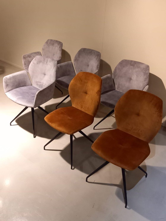 Image 1 of Silla de comedor Mobitec Mood (juego de 6)