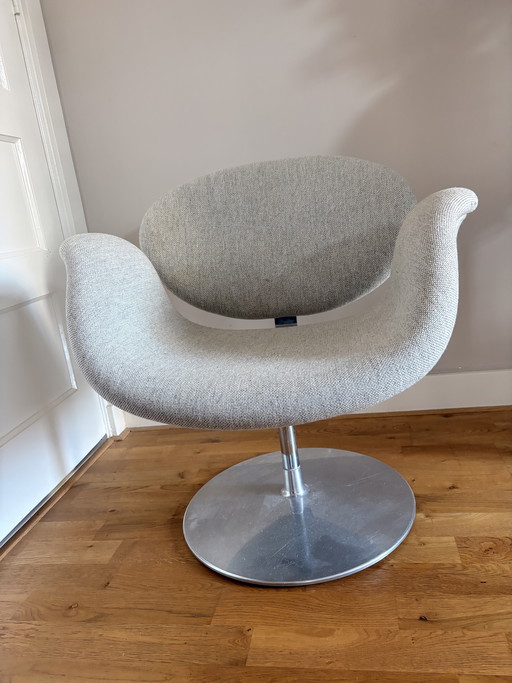 Fauteuil Tulipe petit modèle Pierre Paulin Artifort Gris