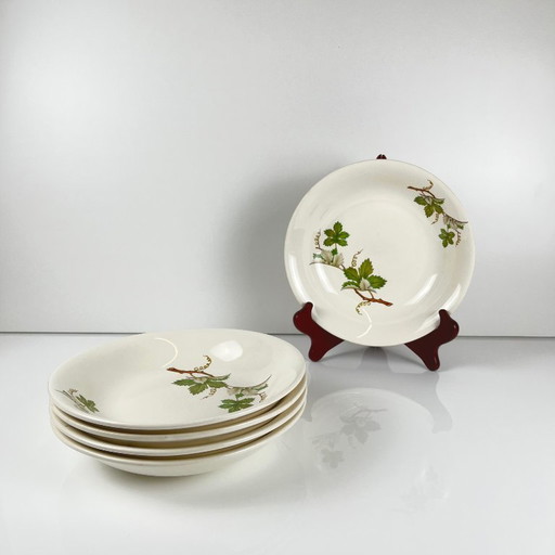Set of 5 Villeroy & Boch "vine" soup plates