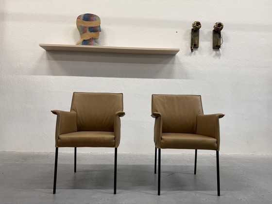 Image 1 of 2 Design on Stock Gola Dining Chairs Loxton Desert leather