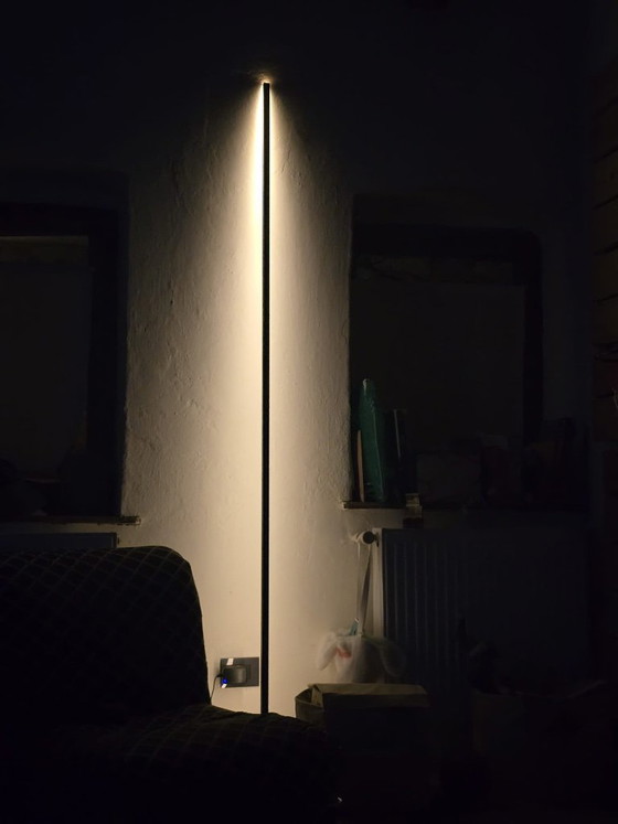Gica Contra 195 Lampada da terra Nera – Cristofaroluce, Lampade da terra, Aluminium (photo 7 of 12)
