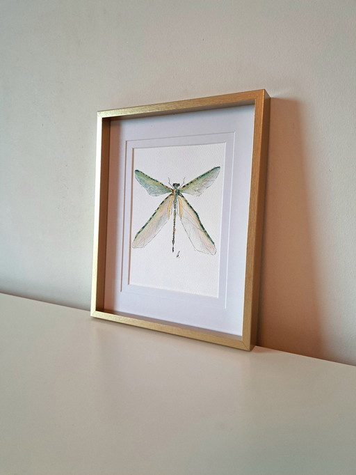 Aquarelle Libellule | Avec cadre