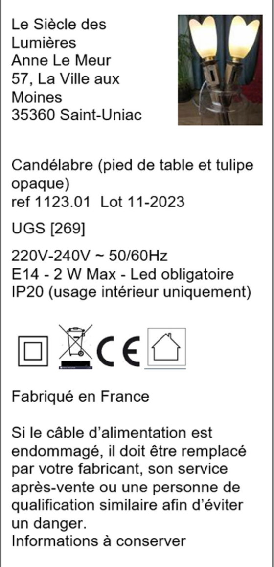 Image 1 of Table lamp or torch-style wall sconce