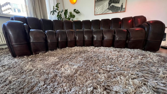 Image 1 of Sofá modular de Sede DS-600 “Snake” / “Tatzelwurm”, cuero marrón oscuro, 12 elementos,