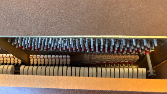 Clásico Piano Petrof de Madera – Madera Cálida (Incl. Funda Protectora) – Muebles, Metal, Plastic (photo 3 of 12)