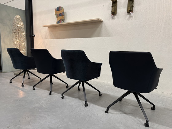 Image 1 of 4 Sedie da pranzo Leolux Callas in tessuto blu/pelle