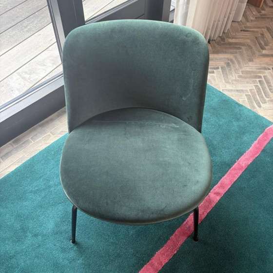 Wittmann Merwyn 29612 Poltrona Lounge – Poltrone, Metal, Velvet (photo 4 of 5)