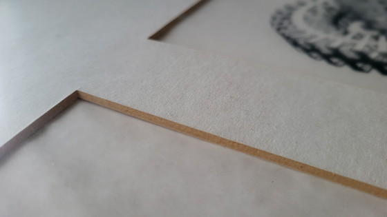 Image 1 of Escher image produced using CalComp plotter