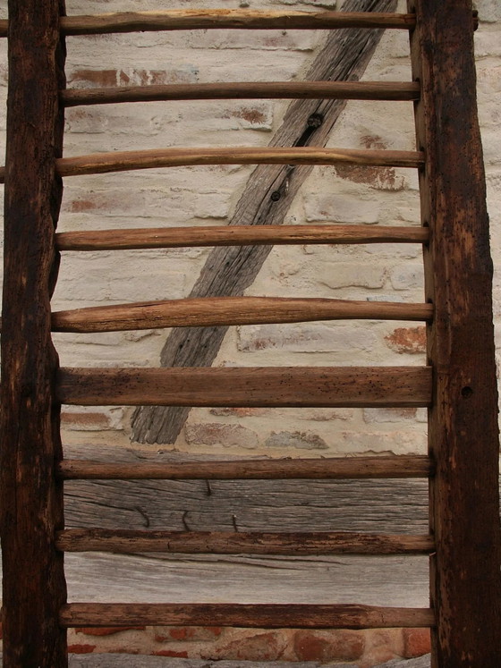 Old hay boat 30/40 – Coat racks, Wood, Vintage (photo 6 of 6)