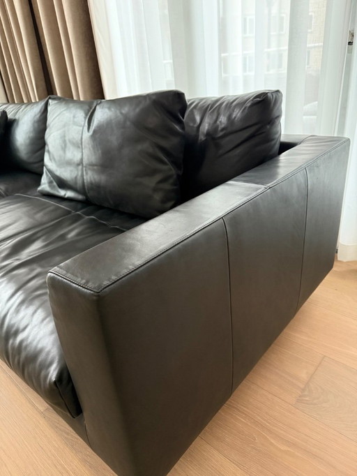 Montis Axel XL 5 zits