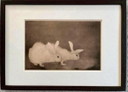 Jan Mankes 1889-1920 / Originele Heliogravure 2 Konijntjes 1923