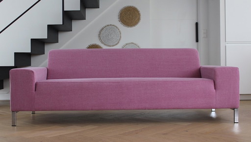 Gelderland 6511 3 places rose