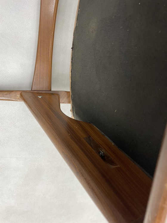 Image 1 of Louis van Teeffelen für das Wébé Penguin Restoration Project