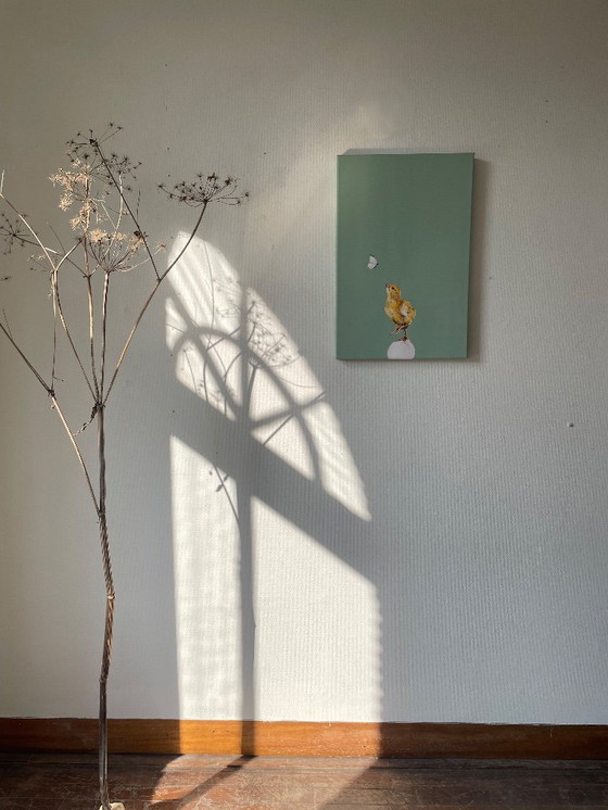 Image 1 of Portrait d'un coq