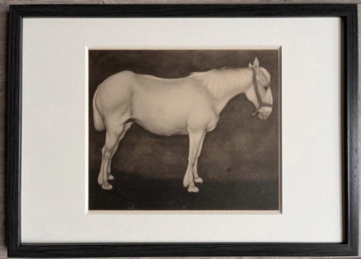 Jan Mankes 1889-1920 / Original Heliogravüre Weißes Pferd 1923