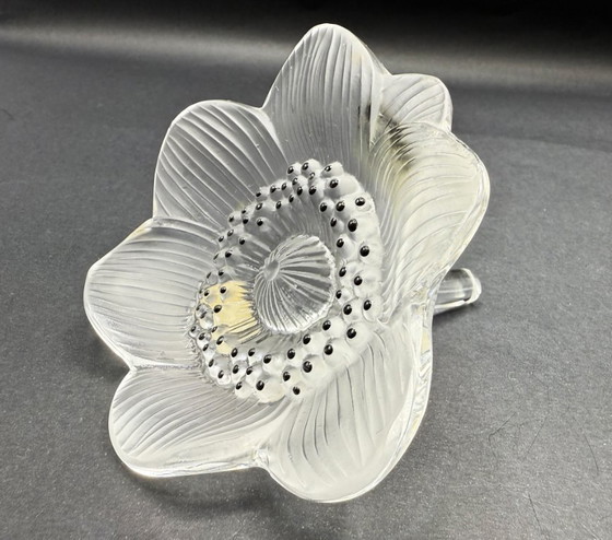 Image 1 of Lalique - Anemoon