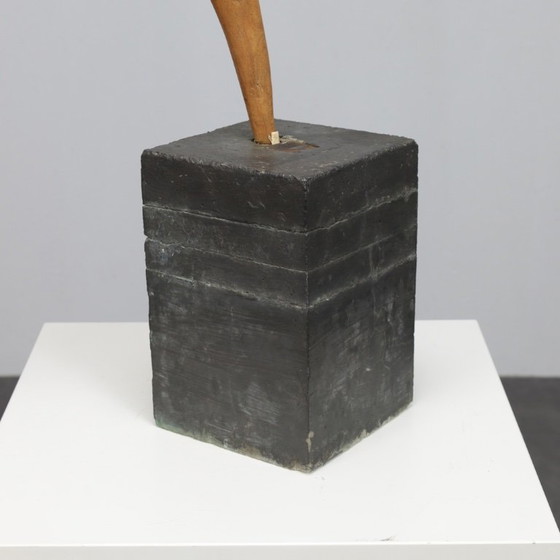 Image 1 of Environmental Assemblage Sculpture by Tom de Munk-Kerkmeer, Australia, 1990s