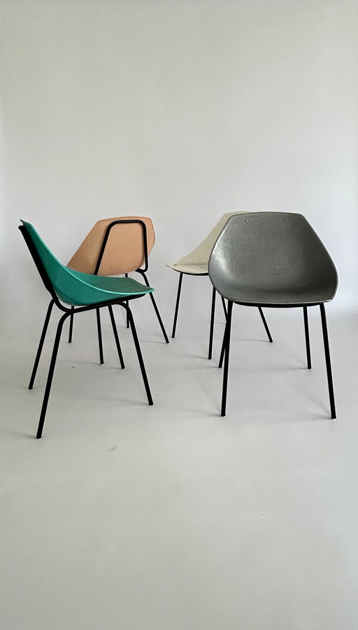 Coquillage" chairs Guariche X Meurop